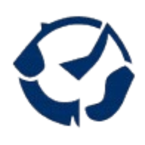 Geographic Scope Icon