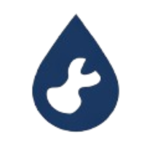 Business Integrity Icon